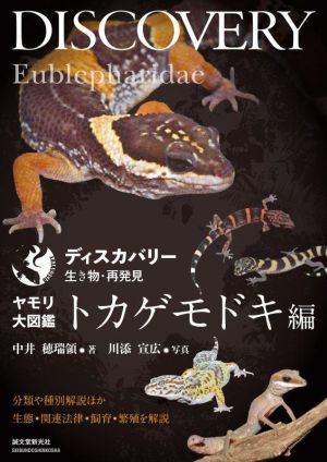 ヤモリ大図鑑 トカゲモドキ編 分類や種別解説ほか生態・関連法律・飼育・繁殖を解説 ディスカバリー生き物・再発見