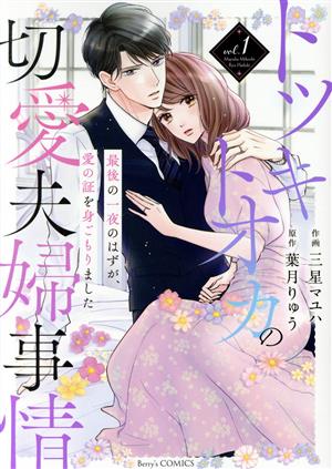 トツキトオカの切愛夫婦事情(vol.1) 最後の一夜のはずが、愛の証を身ごもりました ベリーズC