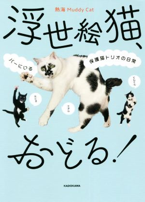 浮世絵猫、おどる！ バーにいる保護猫トリオの日常