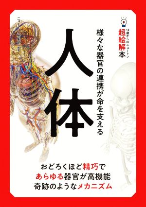 人体 様々な器官の連携が命を支える 14歳からのニュートン超絵解本