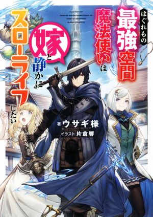 はぐれもの最強空間魔法使いは嫁と静かにスローライフしたい