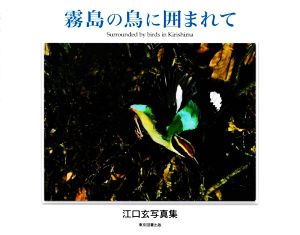 霧島の鳥に囲まれて 江口玄写真集