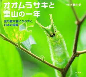オオムラサキと里山の一年夏の雑木林にかがやく、日本の国蝶小学館の図鑑NEOの科学絵本