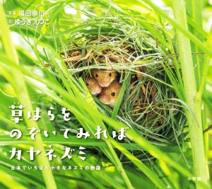 草はらをのぞいてみればカヤネズミ日本でいちばん小さなネズミの物語小学館の図鑑NEOの科学絵本