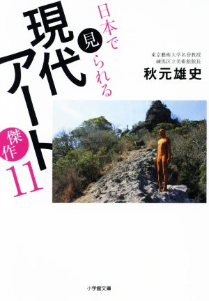 日本で見られる現代アート傑作11 小学館文庫