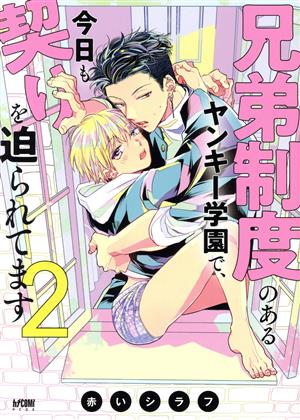 兄弟制度のあるヤンキー学園で、今日も契りを迫られてます(2) プリンセスCDX カチCOMI