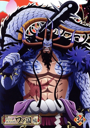 ONE PIECE ワンピース 20THシーズン ワノ国編 piece.34