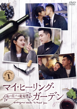 マイ・ヒーリング・ガーデン～僕の恋する葡萄園～ DVD-BOX1