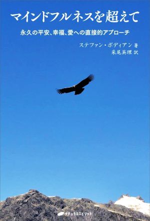 マインドフルネスを超えて 永久の平安、幸福、愛への直接的アプローチ