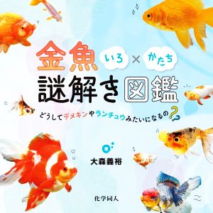 金魚いろ×かたち謎解き図鑑 どうしてデメキンやランチュウみたいになるの？