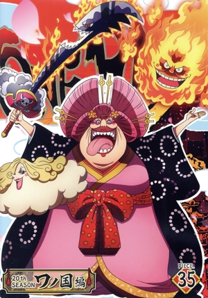 ONE PIECE ワンピース 20THシーズン ワノ国編 piece.35