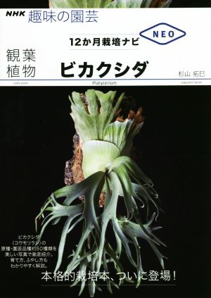 趣味の園芸 観葉植物ビカクシダ NHK趣味の園芸 12か月栽培ナビNEO