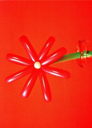 MACAROCK'N LIVE-1(初回生産限定版)