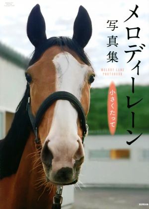 メロディーレーン写真集 小さくたって 廣済堂・競馬コレクション