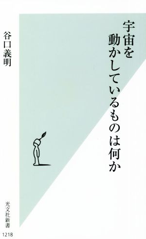 宇宙を動かしているものは何か光文社新書1218