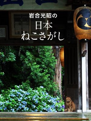 岩合光昭の日本ねこさがし