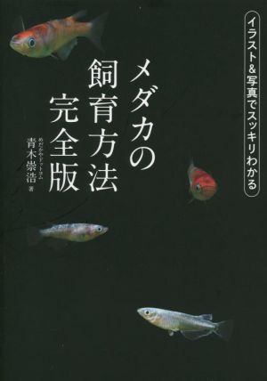 メダカの飼育方法完全版