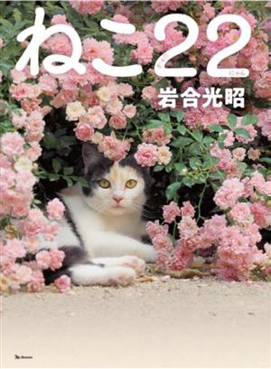 ねこ22 ねこのきもち