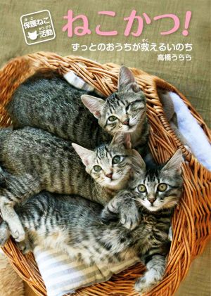 保護ねこ活動 ねこかつ！ ずっとのおうちが救えるいのち