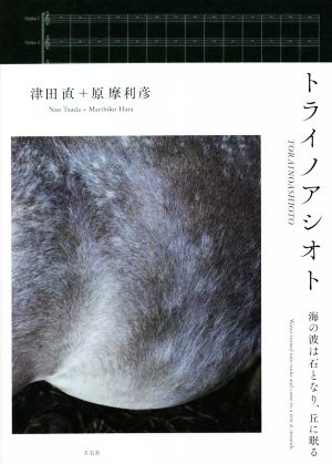 トライノアシオト 海の波は石となり、丘に眠る