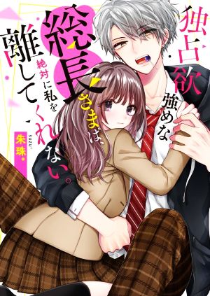 独占欲強めな総長さまは、絶対に私を離してくれない。 ケータイ小説文庫