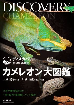 カメレオン大図鑑 分類や種別解説ほか 生態・飼育・繁殖について解説 ディスカバリー生き物・再発見