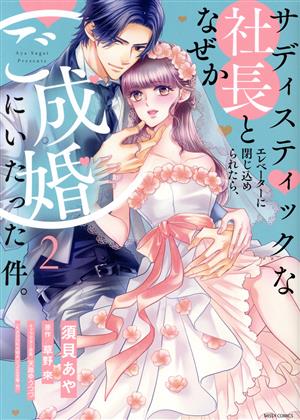 サディスティックな社長とエレベーターに閉じ込められたら、なぜかご成婚にいたった件。(2) ミッシィC YLC collection