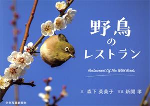 野鳥のレストラン 少年写真絵本