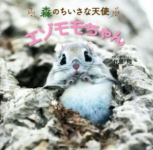 写真集 森のちいさな天使 エゾモモちゃん