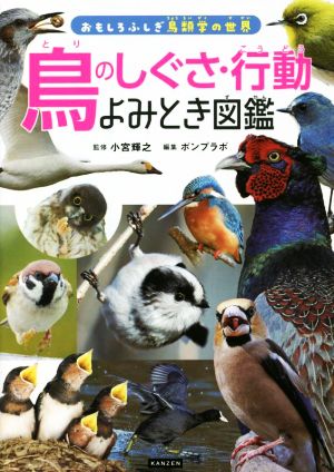 鳥のしぐさ・行動 よみとき図鑑 おもしろふしぎ鳥類学の世界
