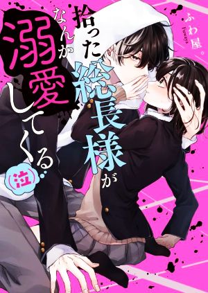 拾った総長様がなんか溺愛してくる(泣)ケータイ小説文庫