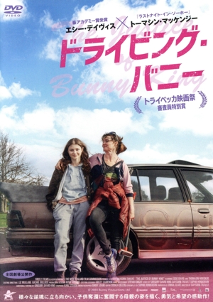 ドライビング・バニー