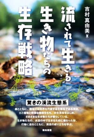 流されて生きる生き物たちの生存戦略 驚きの渓流生態系