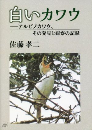 白いカワウ アルビノカワウ、その発見と観察の記録