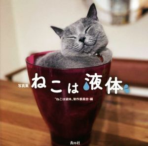 写真集 ねこは液体