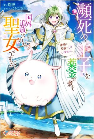 瀕死の王子を薬釜で煮て国外追放された聖女ですが、後悔も反省もしていません。 ツギクルブックス