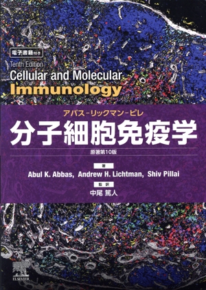 分子細胞免疫学 原著第10版 アバスーリックマンーピレ