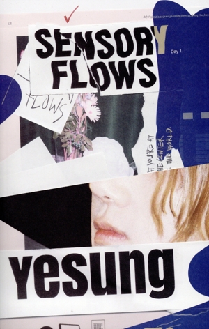【輸入盤】Sensory Flows