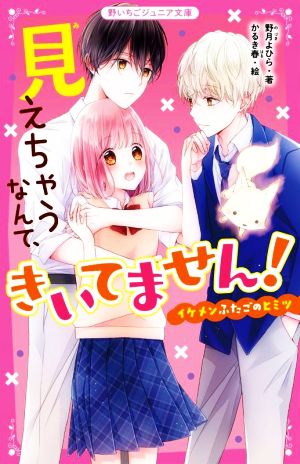 見えちゃうなんて、きいてません！イケメンふたごのヒミツ 野いちごジュニア文庫