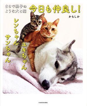 まるで親子のような犬と猫 今日も仲良し！ ユキちゃんレンちゃんサンちゃん