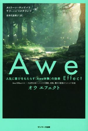 Awe Effect 人生に喜びをもたらす「Awe体験」の効果