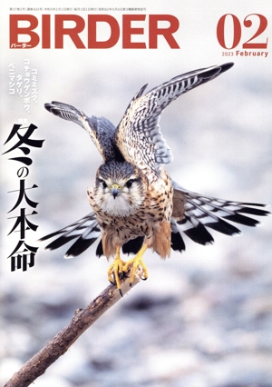 BIRDER(2023年2月号) 月刊誌