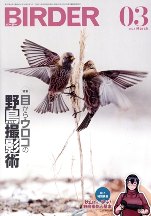 BIRDER(2023年3月号) 月刊誌