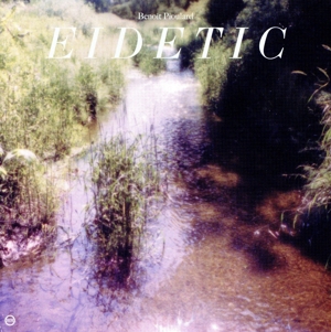 Eidetic