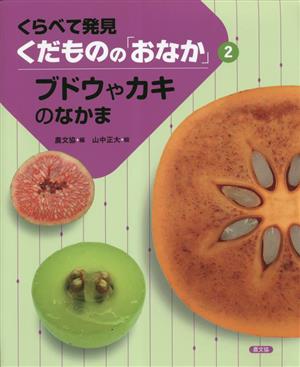 ブドウやカキのなかま くらべて発見くだものの「おなか」2