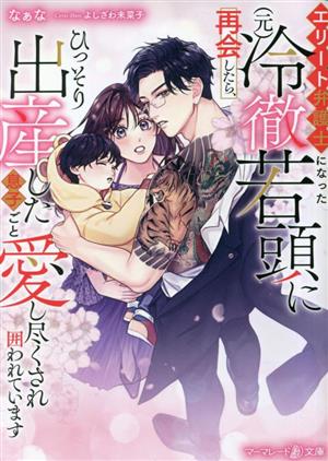 エリート弁護士になった(元)冷徹若頭に再会したら、ひっそり出産した息子ごと愛し尽くされ囲われています マーマレード文庫