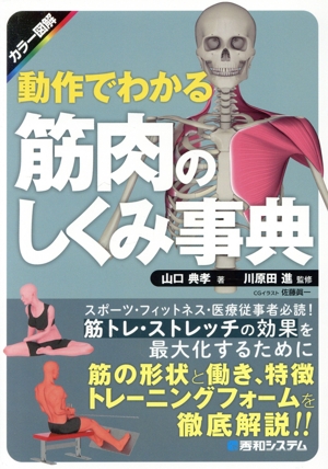 動作でわかる筋肉のしくみ事典 カラー図解