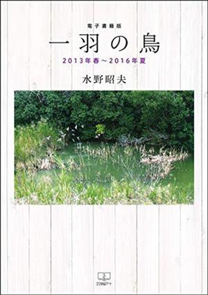 一羽の鳥 2013年春～2016年夏