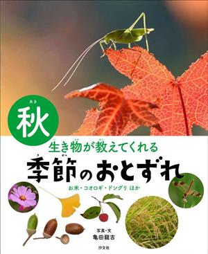 生き物が教えてくれる季節のおとずれ 秋 お米・コオロギ・ドングリほか