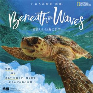 いのちの惑星、地球。Beneath the Waves 素晴らしい海の世界